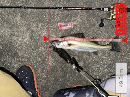 1hだけの入れ食いモード