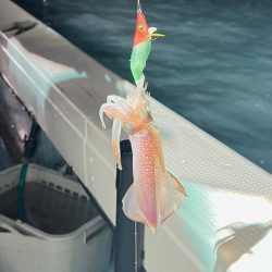 ケンサキイカ/イカメタル・オモリグ