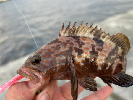 夏でも立派な奴がいた