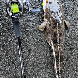 マゴチをバイブレーションで釣る