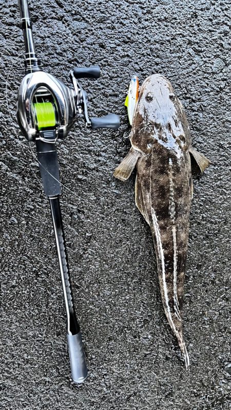 マゴチをバイブレーションで釣る