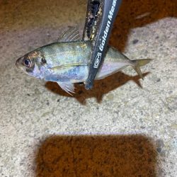 アジつ抜け達成