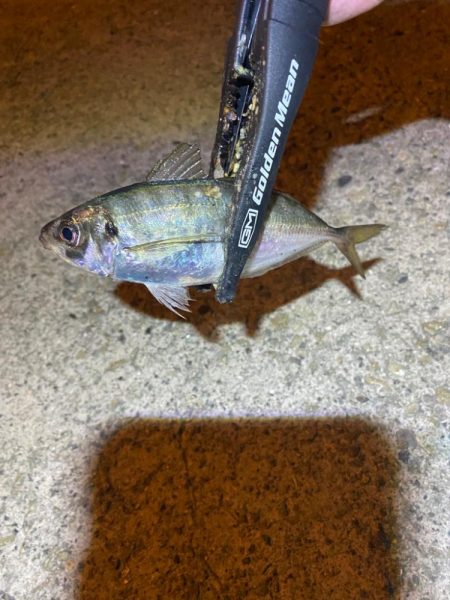 アジつ抜け達成