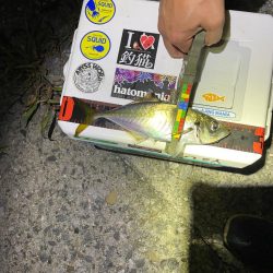 サーフでフロート〜