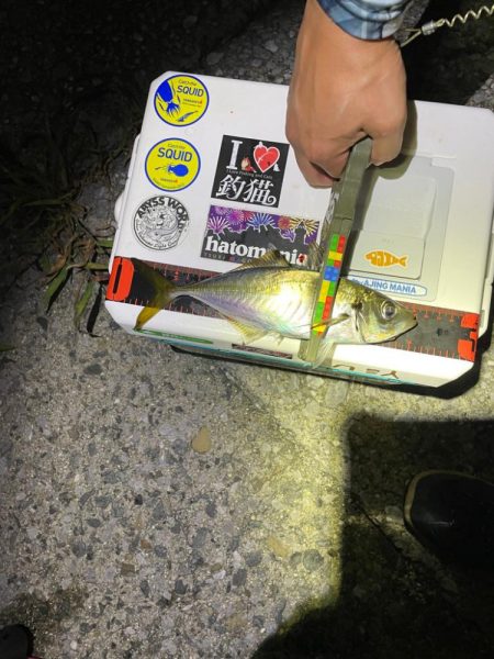 サーフでフロート〜