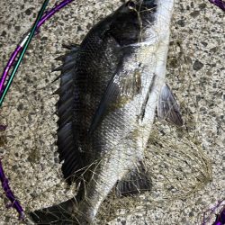 苦潮?ライトワインド