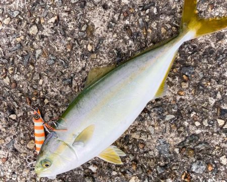 キシイチSPオレンジ良い感じにゃ！