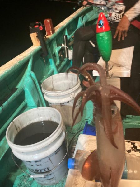 南伊勢のイカメタルゲーム