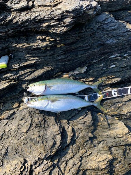 ショアジギング楽しい！