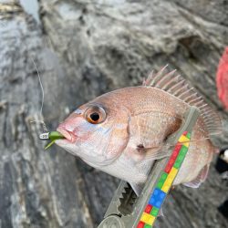 雨の合間を打って