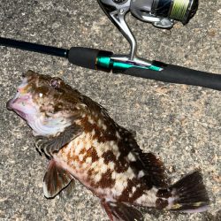 サイズアップライトワインド