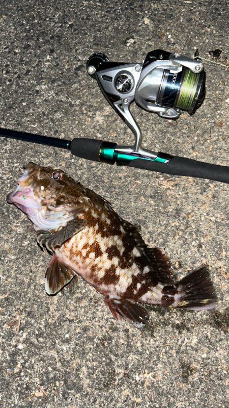 サイズアップライトワインド