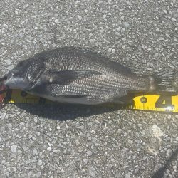 熱中症にはご注意を。