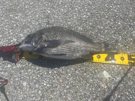 熱中症にはご注意を。