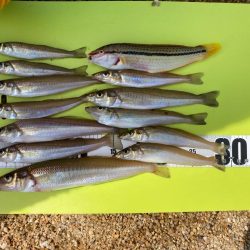 キスも大きくなってます!