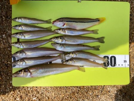 キスも大きくなってます!