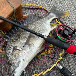 ヘチってきました