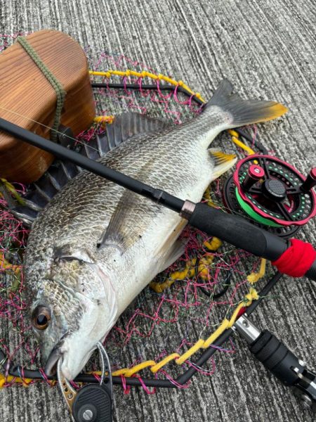 ヘチってきました