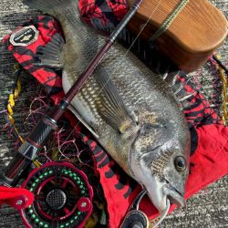 ヘチってきました