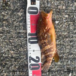 小浜ライトロック