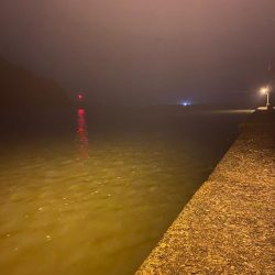 深夜帯アジング釣査