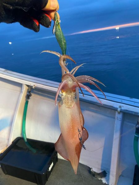 鳥取イカメタル遠征