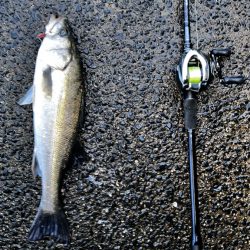 鉄板バイブが効きすぎる！