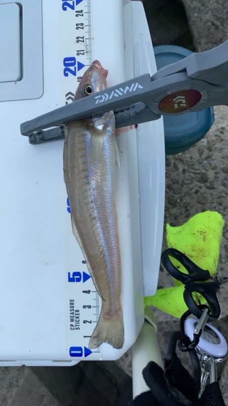 灼熱のキス釣り