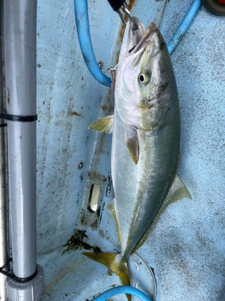 明石ジギング釣行