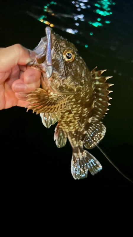 渋い時はライトワインド