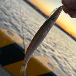 ツバスの時期ですね。