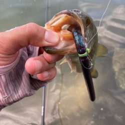 ロングワームで