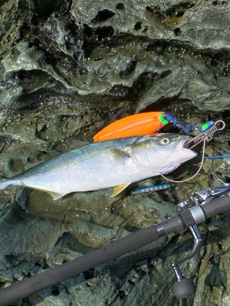 朝マズメ高活性