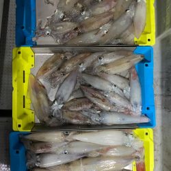 日本海イカメタル