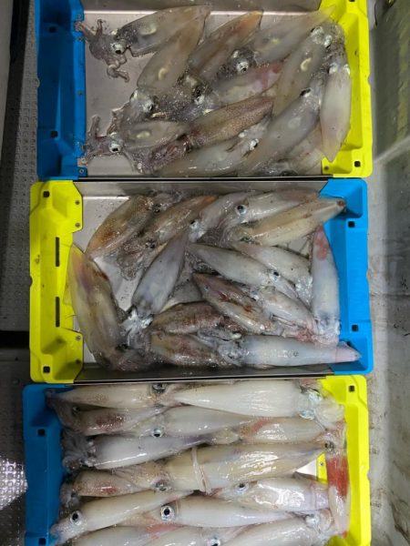 日本海イカメタル