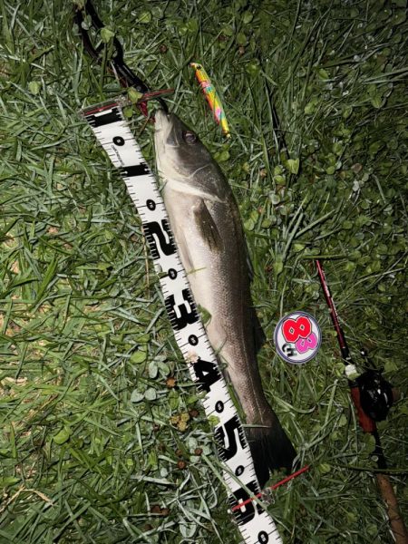 リバーシーバス