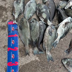 魚津港 フカセ釣り