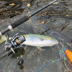 中潮･上げ潮･朝マズメ 相性抜群！