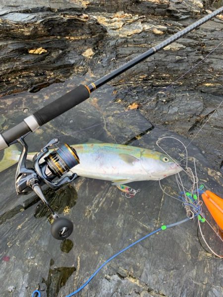 中潮･上げ潮･朝マズメ 相性抜群！