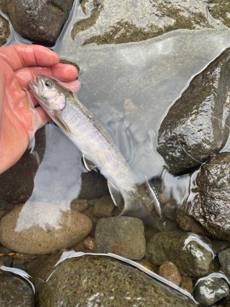 裾花川水系支流