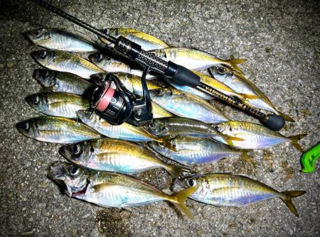 数釣りアジング