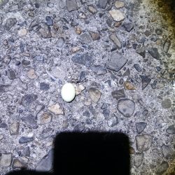 タチウオ不発でアジ好調