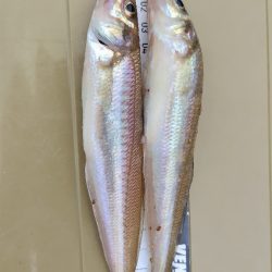 雨の落ちないうちに