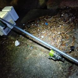 苅屋海岸のキス釣り