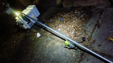 苅屋海岸のキス釣り