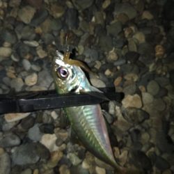 フロートゲーム～