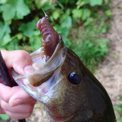 スリーパークロー！