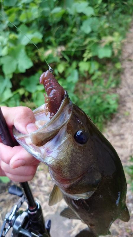 スリーパークロー！