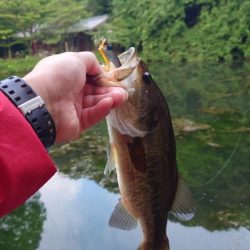 雨後のトップゲーム