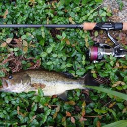 結局いつも通り